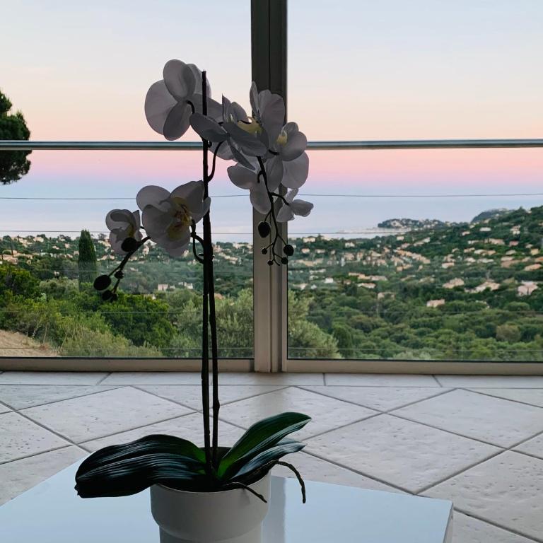 Maison avec vue panoramique - Villa mit 3 Schlafzimmern - 3