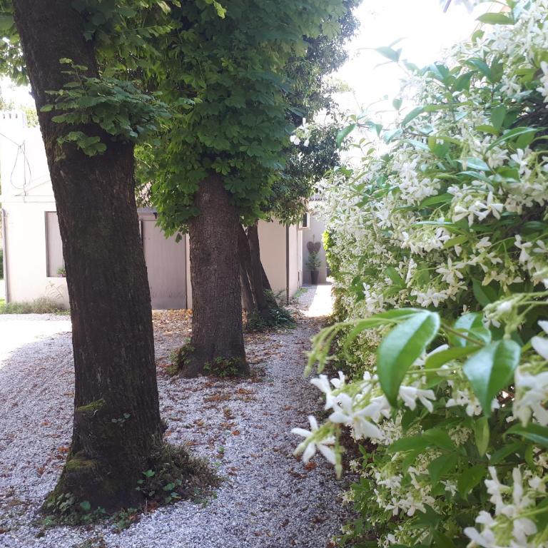 Villa Fiorentino - Camera Matrimoniale/Doppia con Letti Singoli - 7