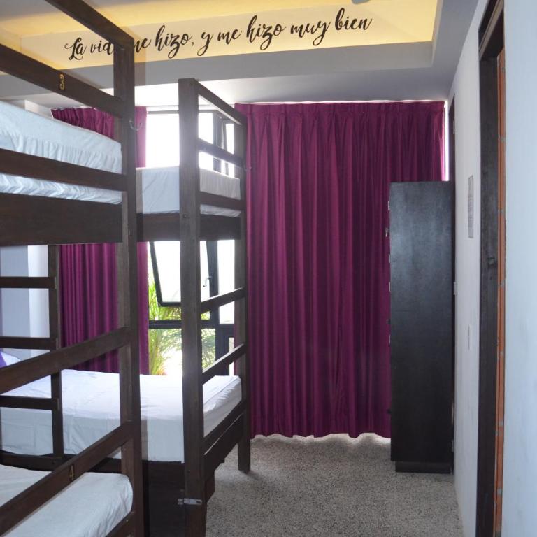 Los Muertos Hostal - Cama Individual en Habitación Compartida de 6 camas - La Doña - 14
