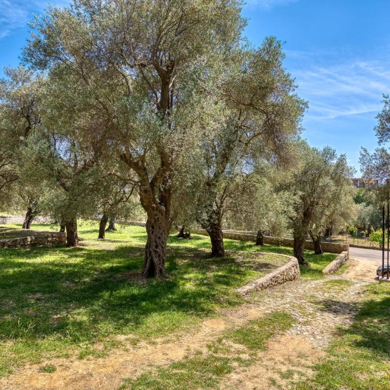 Stonehouse in Olives - Apartman sa 1 Spavaćom Sobom - 28