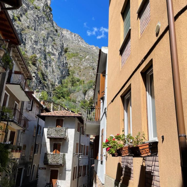 B&B Casa Limone - Camera Matrimoniale Standard con Ventilatore - 4