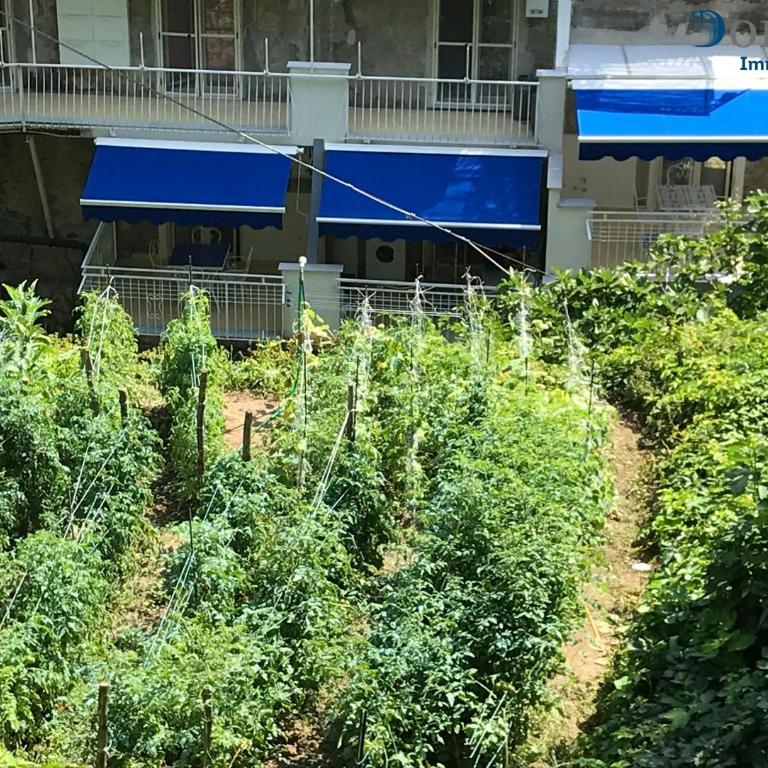 Casa Laurito - Appartamento con 1 Camera da Letto - 17