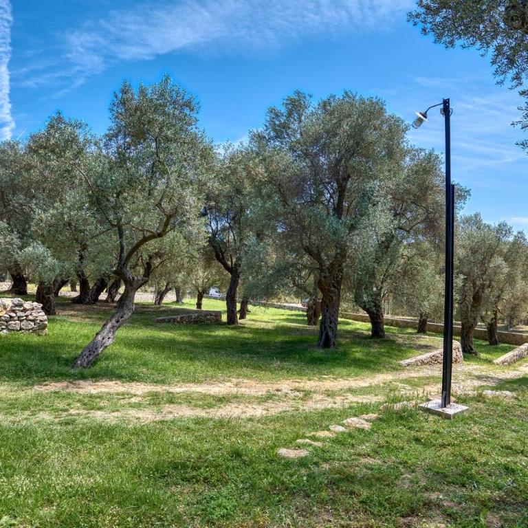 Stonehouse in Olives - Apartman sa 1 Spavaćom Sobom - 27