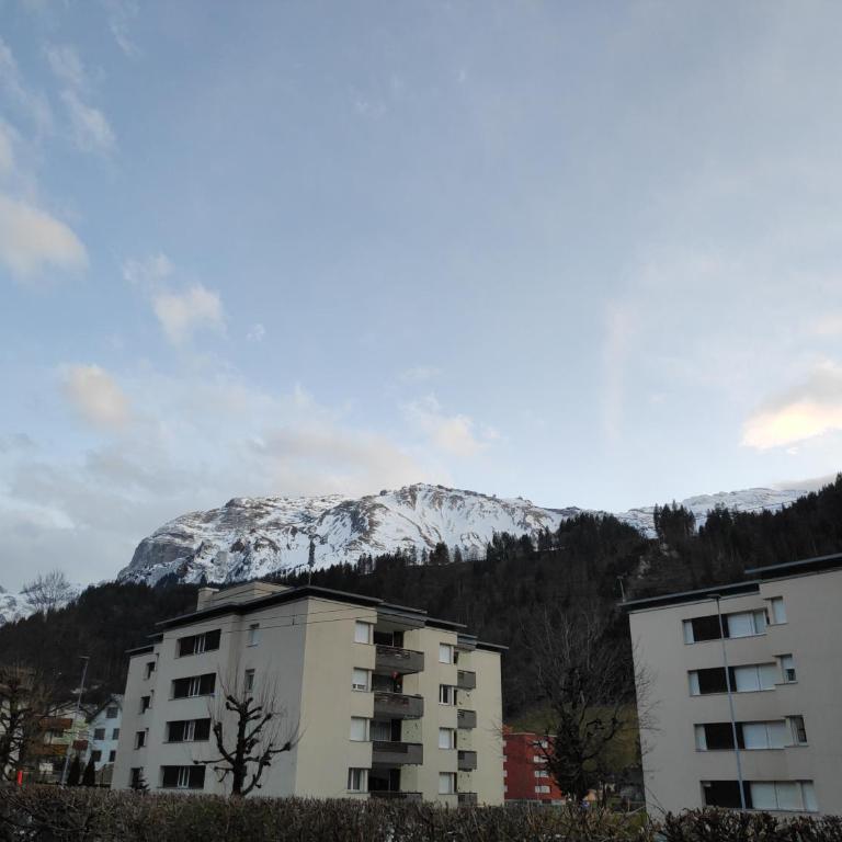 Central Serviced Apartment - Apartment mit 2 Schlafzimmern - 45