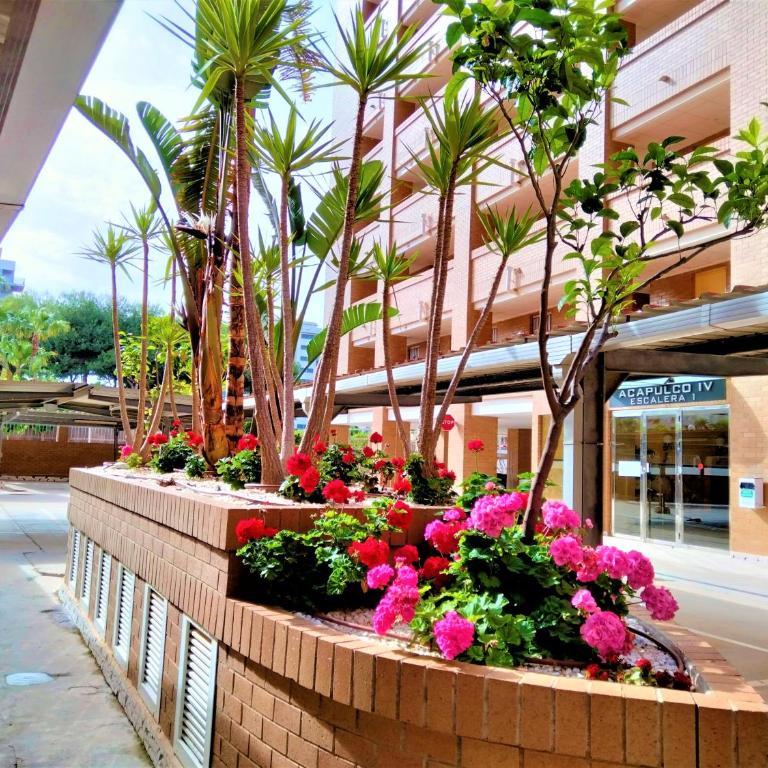 ACV - Acapulco IV - 1 linea planta 2 norte - Apartamento de 2 dormitorios - 21