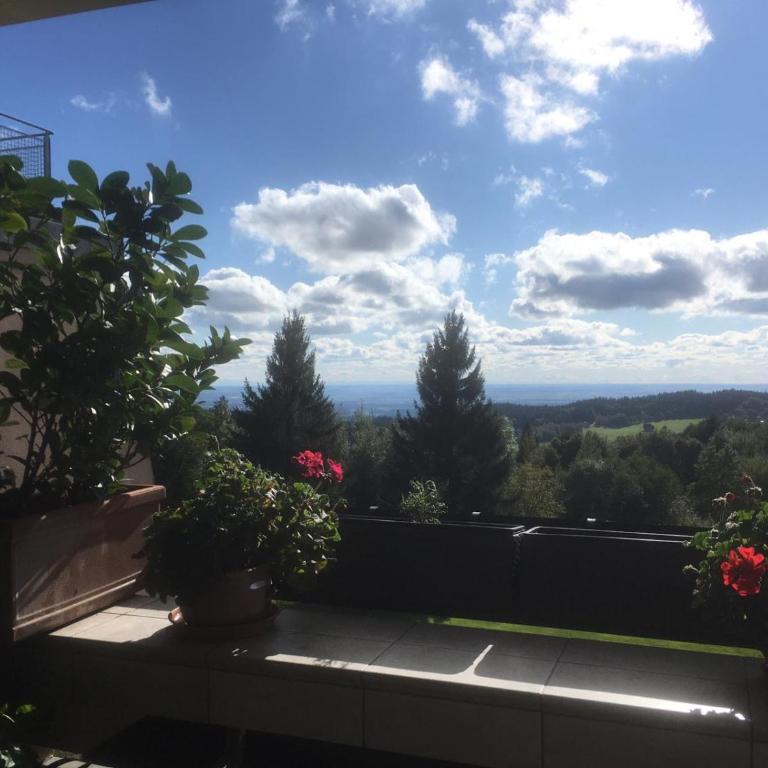 Komfortable Wohnungen und Studio in Sankt Englmar - Apartment mit schöner Aussicht - 1
