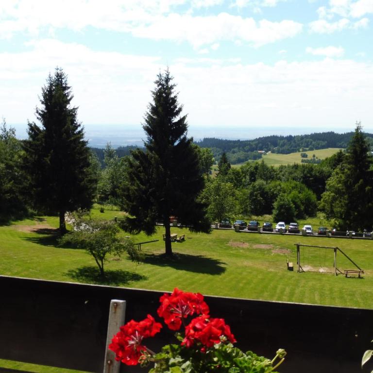 Komfortable Wohnungen und Studio in Sankt Englmar - Apartment mit schöner Aussicht - 12