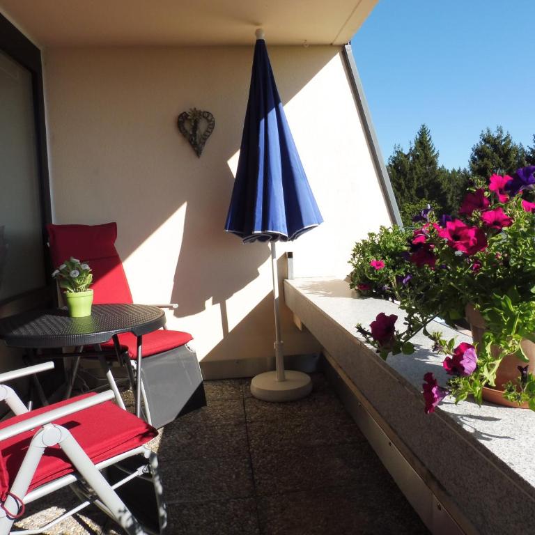 Komfortable Wohnungen und Studio in Sankt Englmar - Apartment mit schöner Aussicht - 11