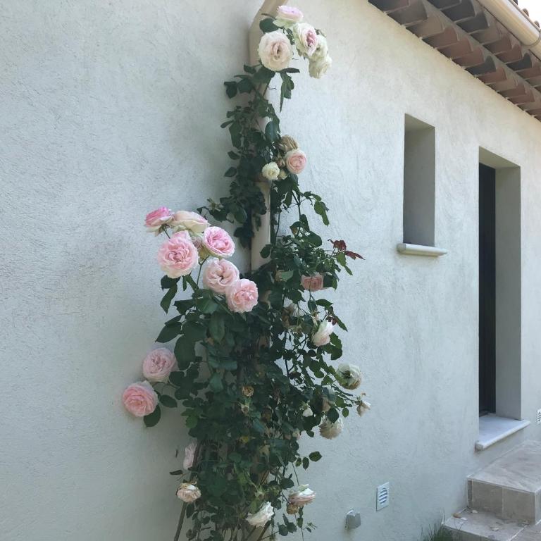 Villa l'art de fer - Two-Bedroom House - 34