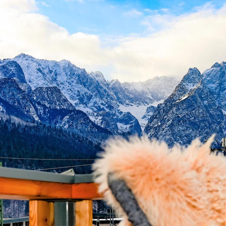moun10 urlaubswohnen - Apartamento de 1 dormitorio con balcón y vistas a la montaña - 3