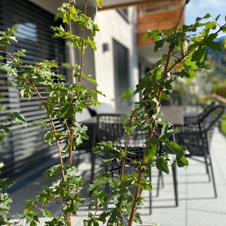 moun10 urlaubswohnen - Apartamento de 2 dormitorios con terraza - 17