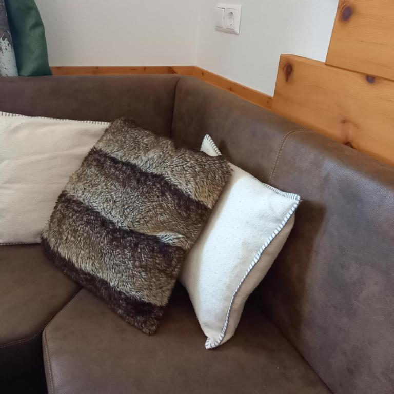 Ferienhaus Schwab - Appartamento con Vista Montagna - 7