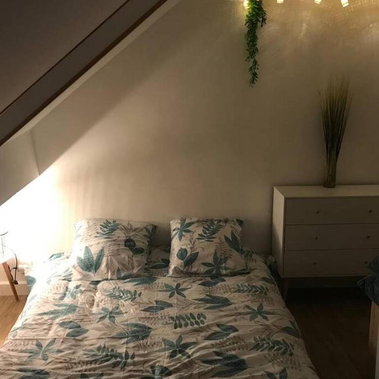 charmant studio bord de mer - Appartement 1 Chambre - 3