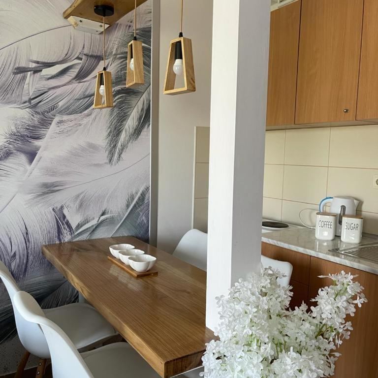 Apartman Lukić - Apartman sa 1 Spavaćom Sobom - 3