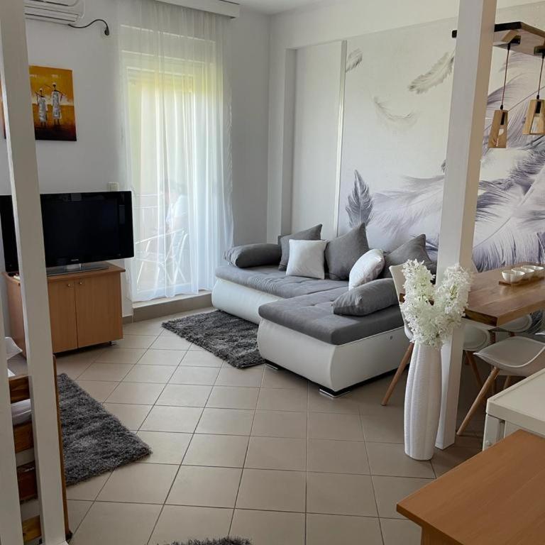 Apartman Lukić - Apartman sa 1 Spavaćom Sobom - 5