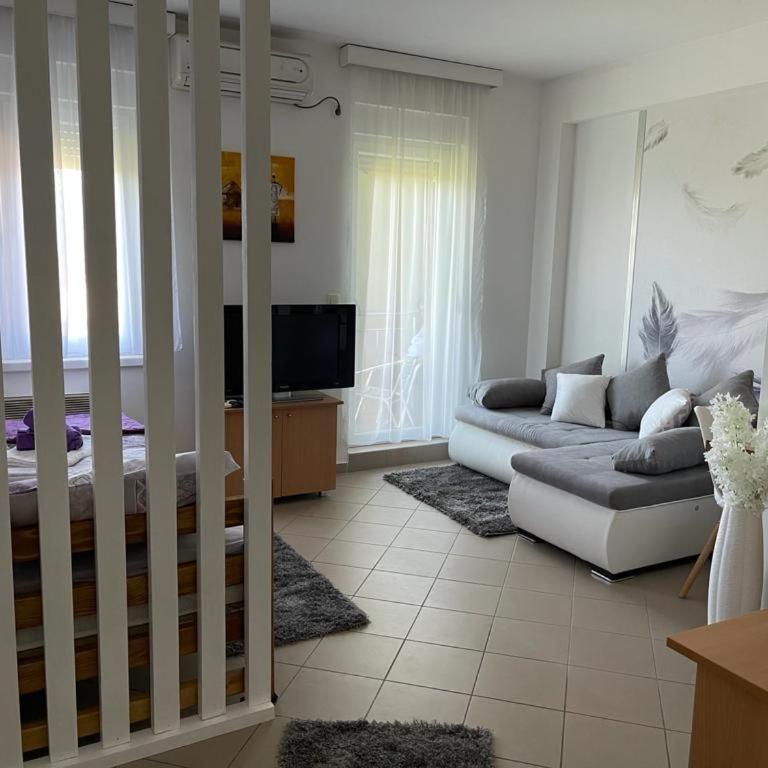Apartman Lukić - Apartman sa 1 Spavaćom Sobom - 7