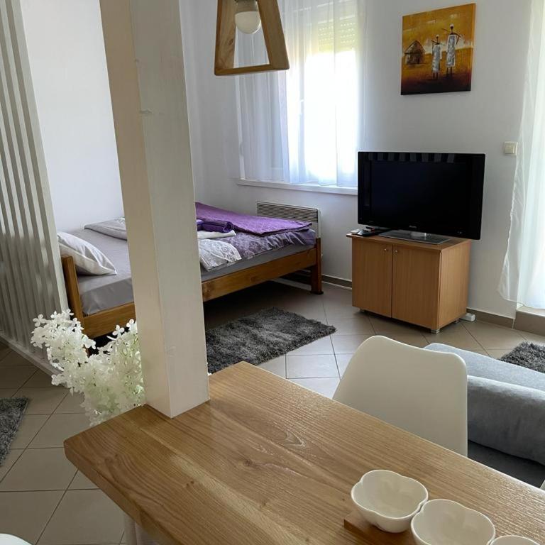 Apartman Lukić - Apartman sa 1 Spavaćom Sobom - 9