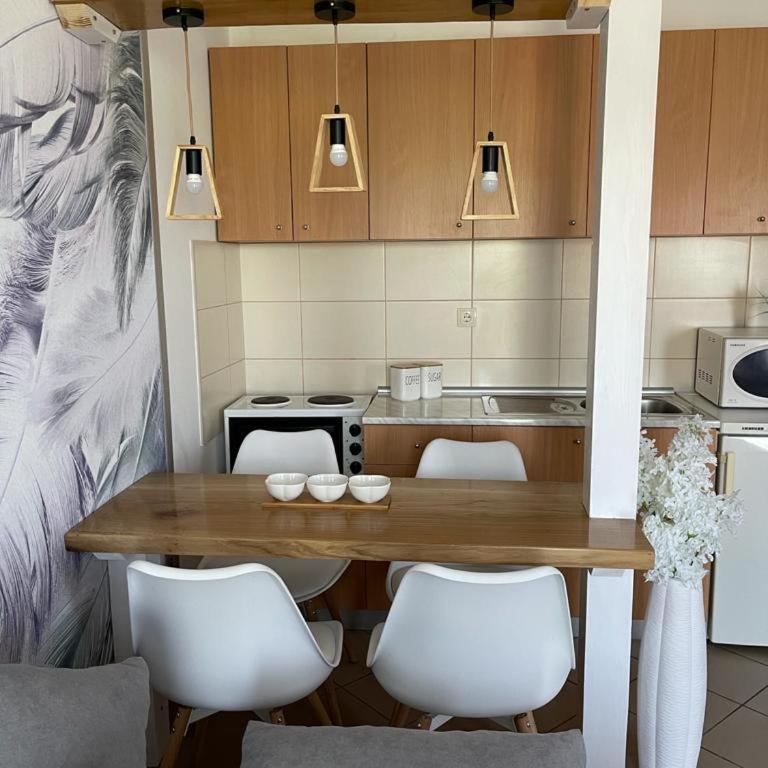 Apartman Lukić - Apartman sa 1 Spavaćom Sobom - 8