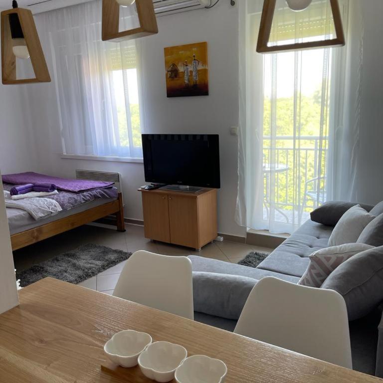 Apartman Lukić - Apartman sa 1 Spavaćom Sobom - 12