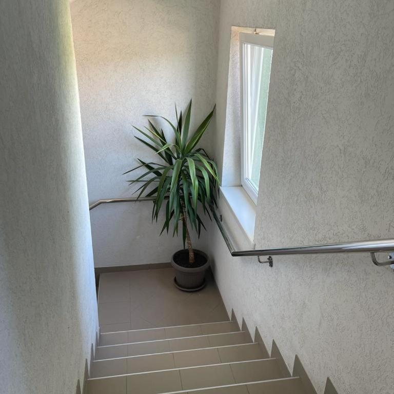 Apartman Lukić - Apartman sa 1 Spavaćom Sobom - 20