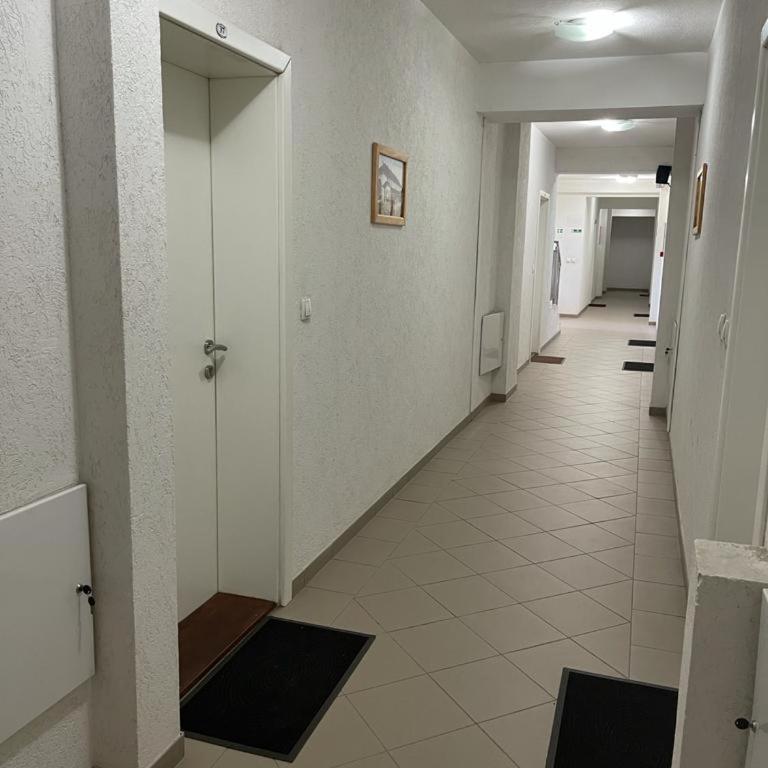 Apartman Lukić - Apartman sa 1 Spavaćom Sobom - 19