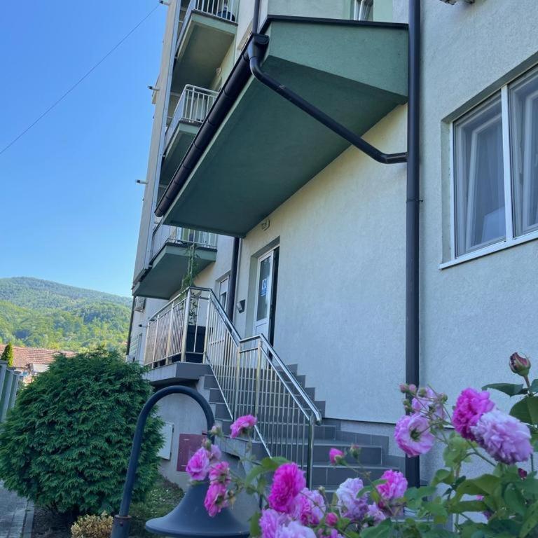 Apartman Lukić - Apartman sa 1 Spavaćom Sobom - 21