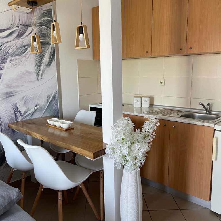 Apartman Lukić - Apartman sa 1 Spavaćom Sobom - 1