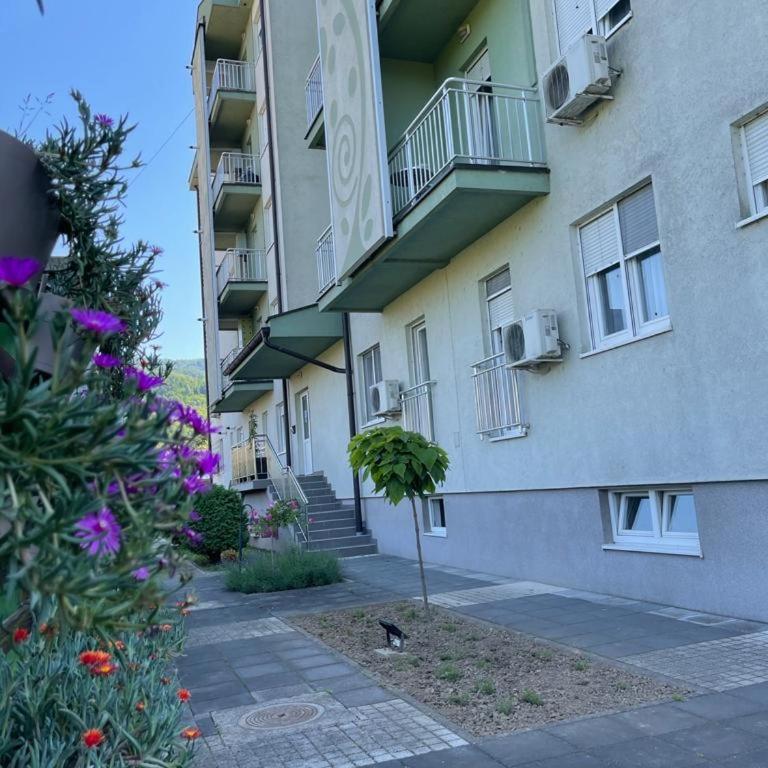 Apartman Lukić - Apartman sa 1 Spavaćom Sobom - 22