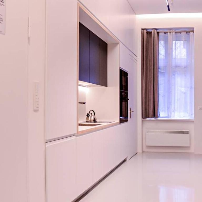 Modern & Comfortable Apartment in the City Center - One-Bedroom Apartment - 12