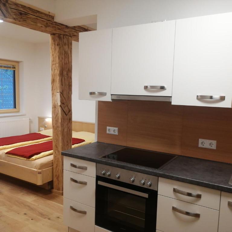 Ferienhof Gindl, Gästehaus Gindl und Pferdehof - Studio-Apartment mit Balkon - 1