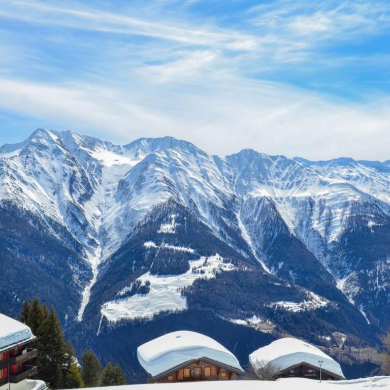 Vieux Valais Malisse - Apartment - 17