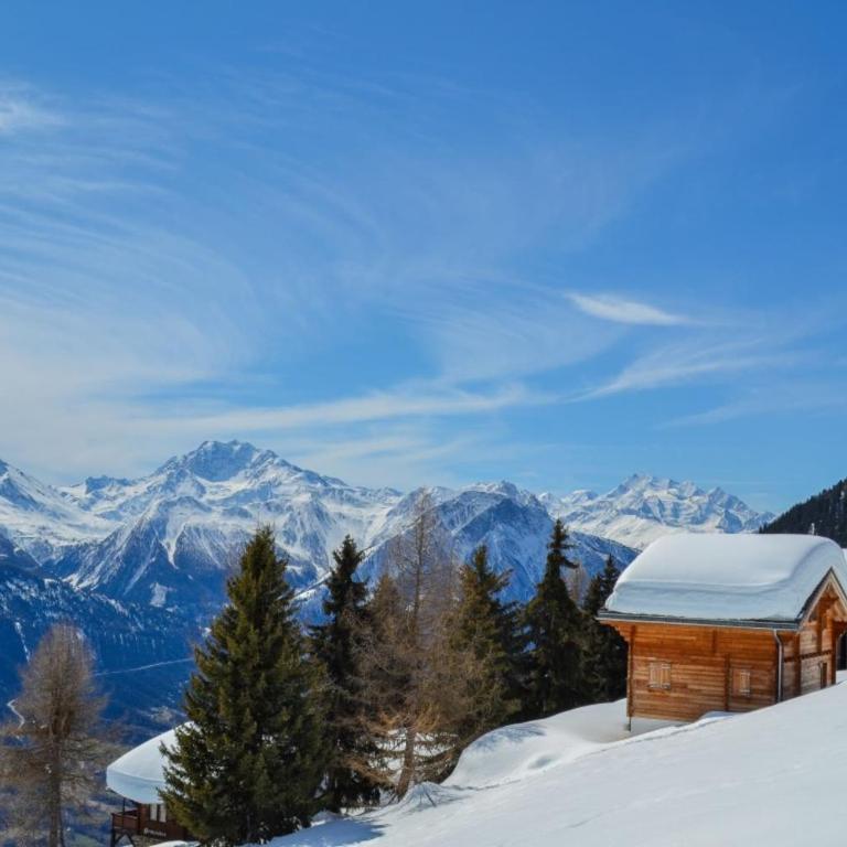 Vieux Valais Malisse - Apartment - 18
