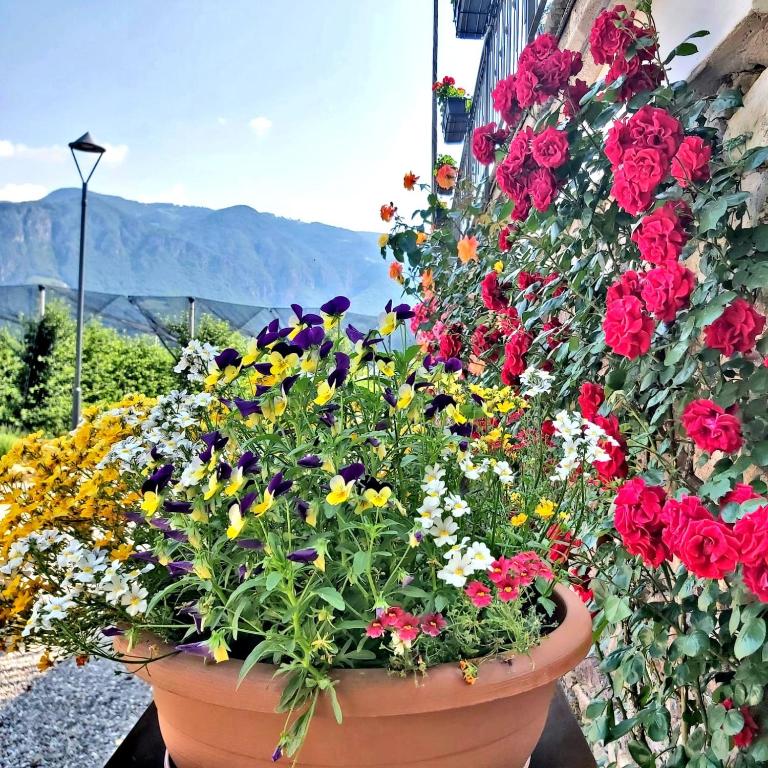 Versigglhof - Appartamento con Balcone - 14