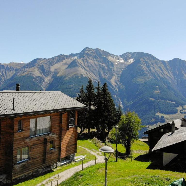 Waldesrand Bättlihorn - Apartment - 23