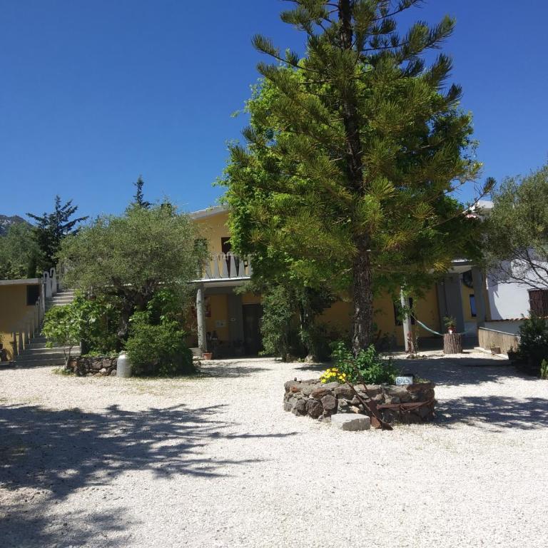 B&B Littu - Camera Queen con Vista Giardino - 5