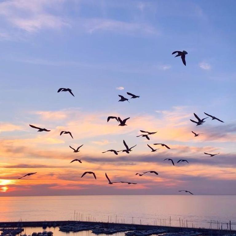 Mille tramonti Agropoli sunset suite - Camera Matrimoniale Deluxe con Balcone e Vista Mare - 4