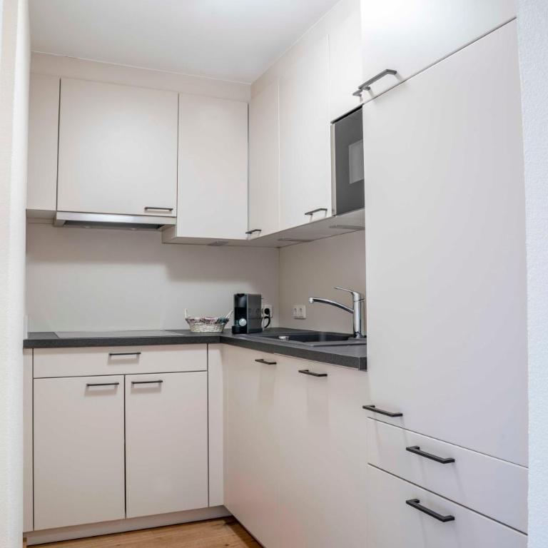 Hotel Montana - Appartement 1 Chambre - 3