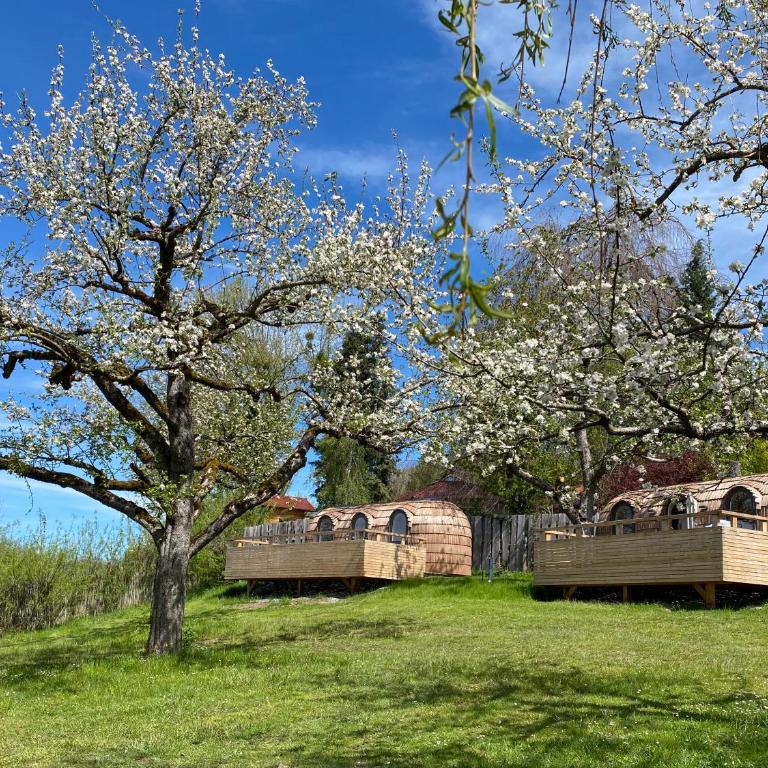 IGLUCAMPING Allgäu-Bodensee - Chalet mit 1 Schlafzimmer - 1