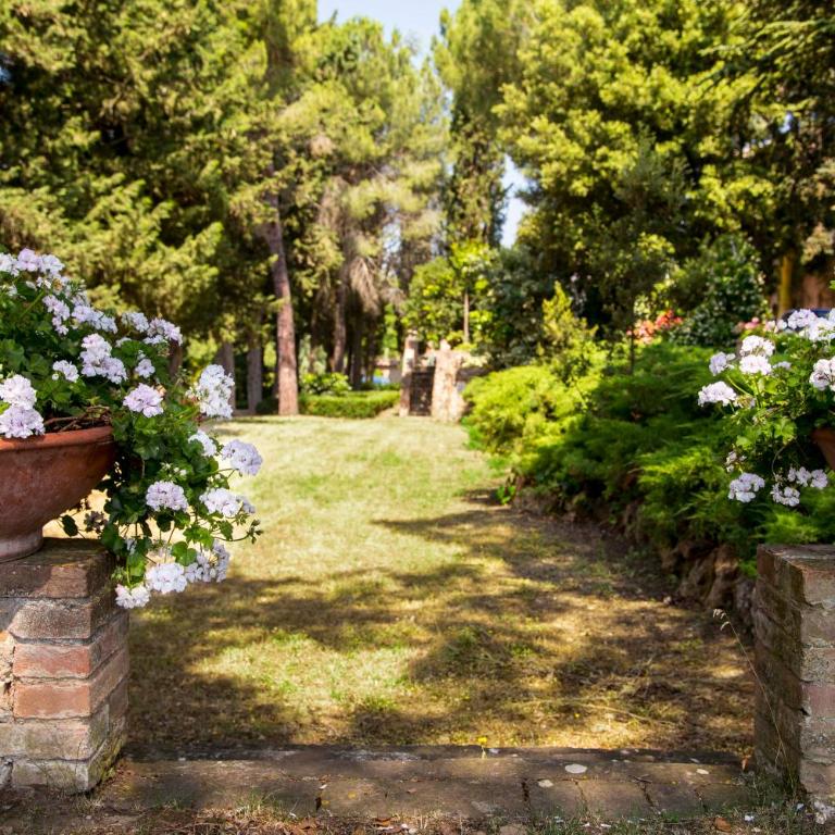 Colle al Matrichese - Historic Winery - Casa con 2 Camere da Letto - 6