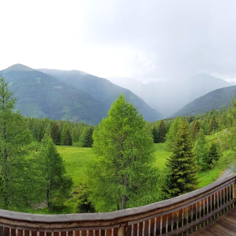 Almhütte Kristabauer - Ferienhaus - 47