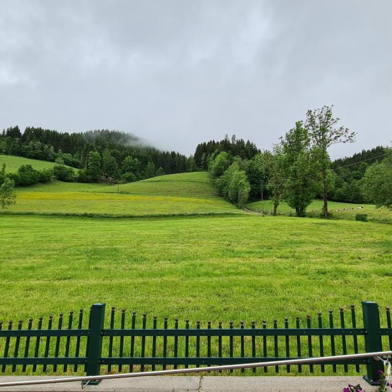 Vive Diem - Apartment mit Terrasse - 3