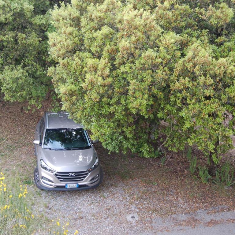 Casa DUILIA - Appartamento con 2 Camere da Letto - 24