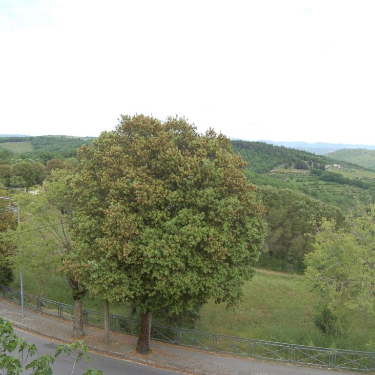 Casa DUILIA - Appartamento con 2 Camere da Letto - 15