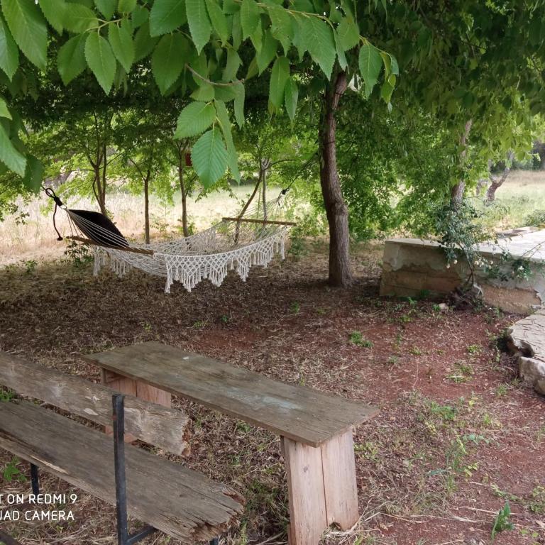 Villa Il Leccio - Trulli - Casa a Schiera con 2 Camere da Letto - 45