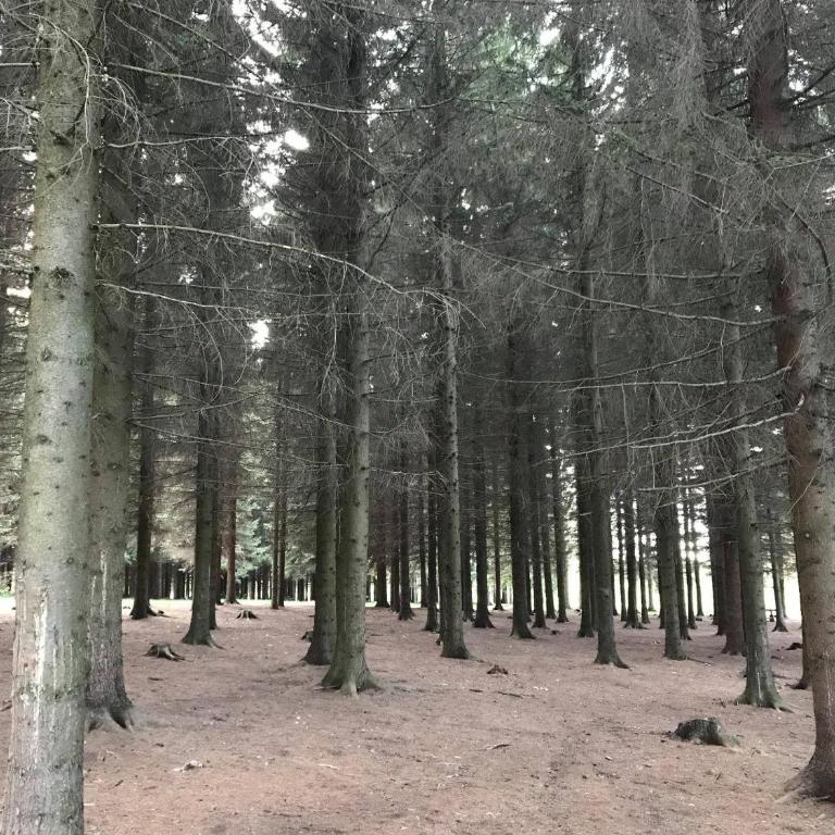 Sokobanja Apartmani - Apartman sa Pogledom na Planinu - 3