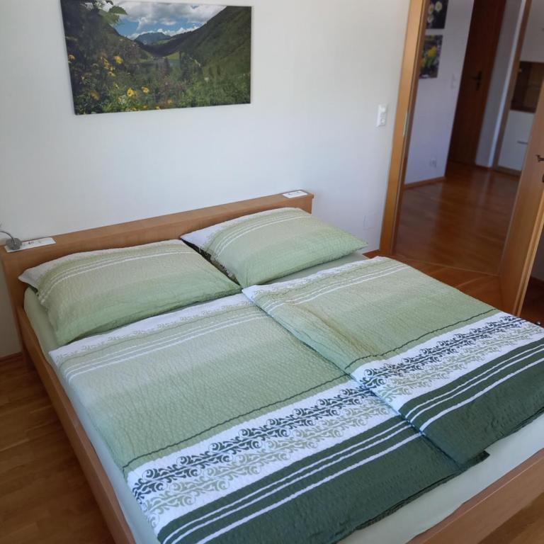 Ferienhaus Schwab - Appartamento con Vista Montagna - 17
