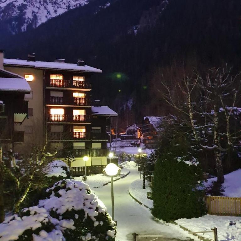 Cosy studio on the slopes and centre of Chamonix - Appartamento con 1 Camera da Letto - 21