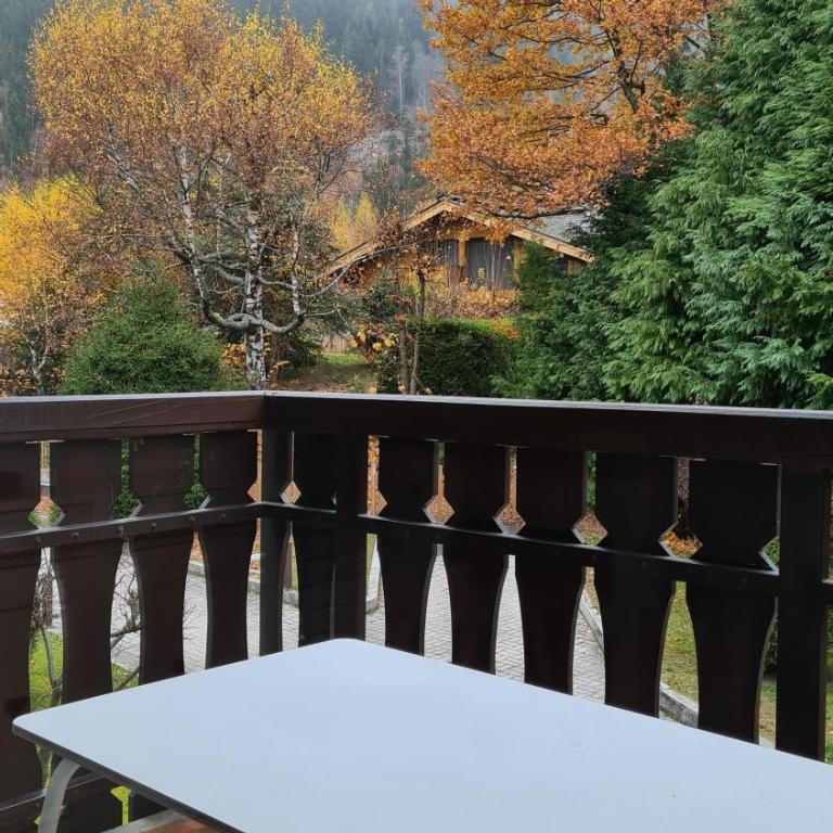 Cosy studio on the slopes and centre of Chamonix - Appartamento con 1 Camera da Letto - 19