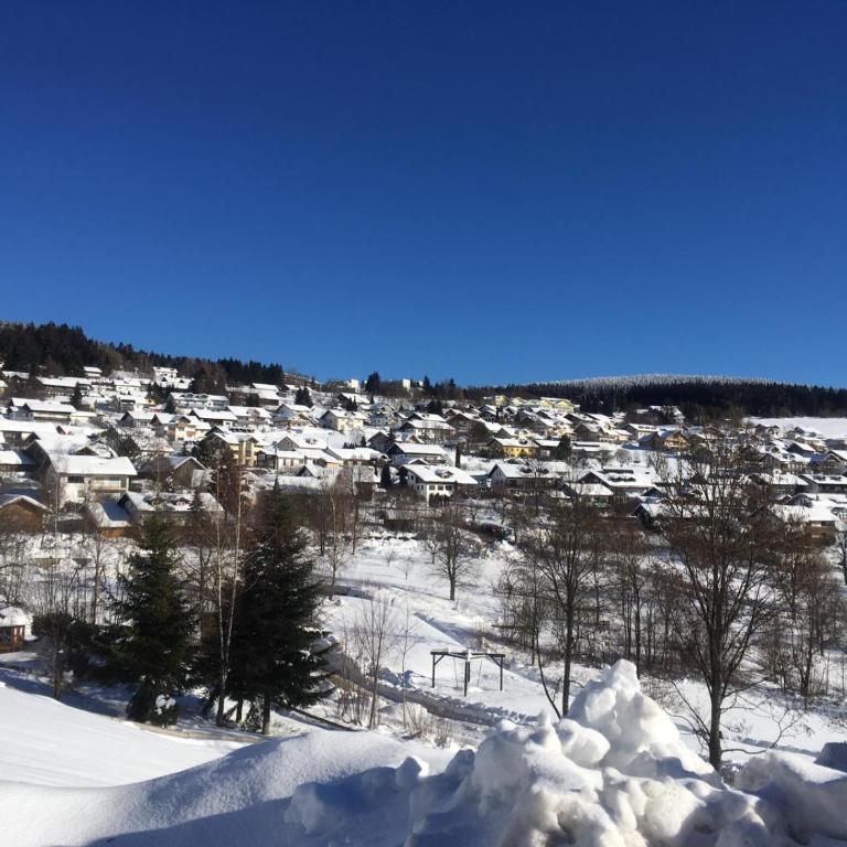 Komfortable Wohnungen und Studio in Sankt Englmar - Apartment mit schöner Aussicht - 20