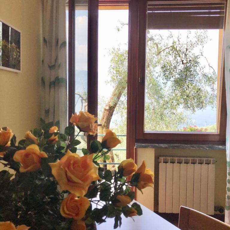 Casa Rosa Apartments - Appartamento Standard - 8